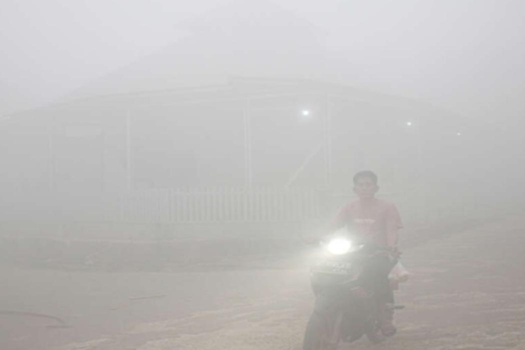 Sidang Gugatan Kabut Asap di Palembang, 3 Perusahaan Dihadapkan pada Pembuktian Dampak Karhutla