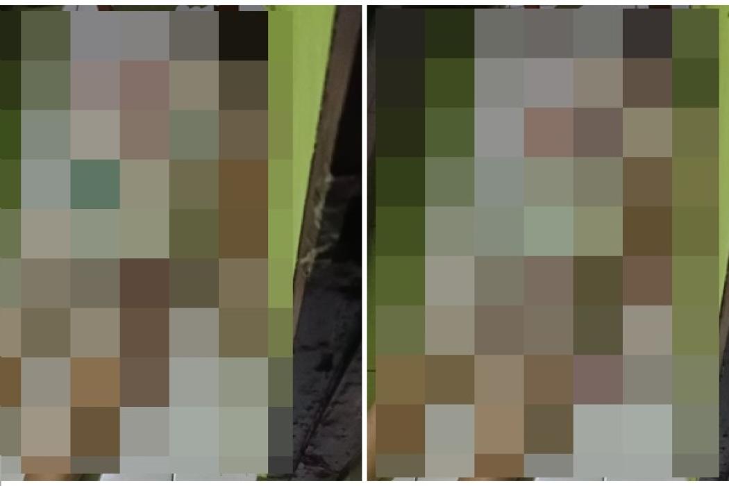 Wanita Paruh Baya Ditemukan Tewas Bersimbah Darah di KM 12 Palembang, Polisi Selidiki Dugaan Pembunuhan