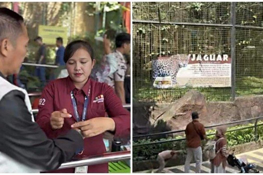 Walikota Ratu Dewa Wacanakan Bakal Bangun Kebun Binatang di Kota Palembang, Berikut 2 Lokasi yang Akan Dipilih
