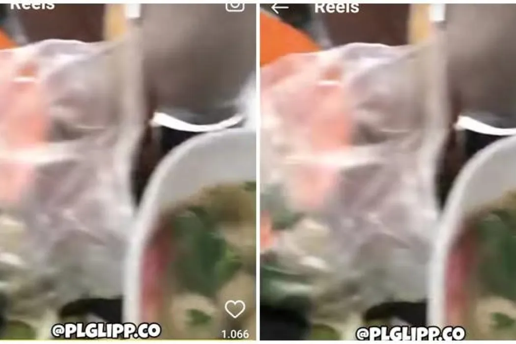 Viral Pembeli di Palembang Temukan Kodok Dalam Pesanan Bakso, Begini Respon Ketua PBSB PS